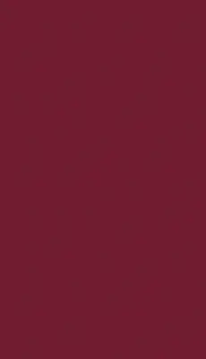 rouge mat bordeaux bieber