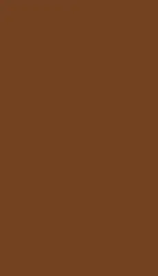 marron camel mat bieber