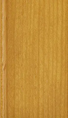 bois dor&eacute; bieber