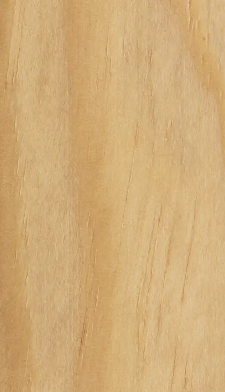 bois naturel bieber
