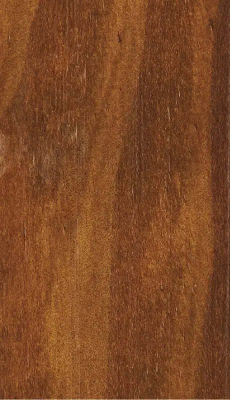 bois vernis marron bieber